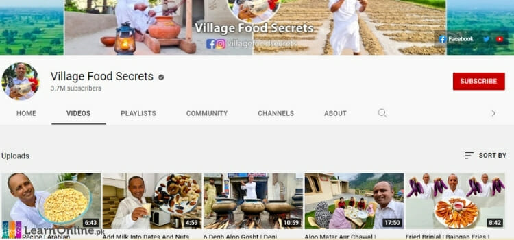 best youtubers in pakistan